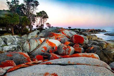 Bay of Fires sunrise, Binalong Bay, Tasmania, Australia