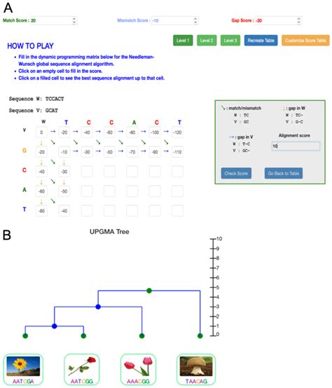 Image result for Programming Matrix