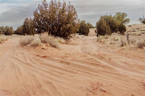 How to get to White Pocket AZ: A Guide with Warnings [2024 update ...