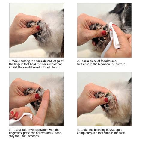 Image result for Styptic Powder Dogs