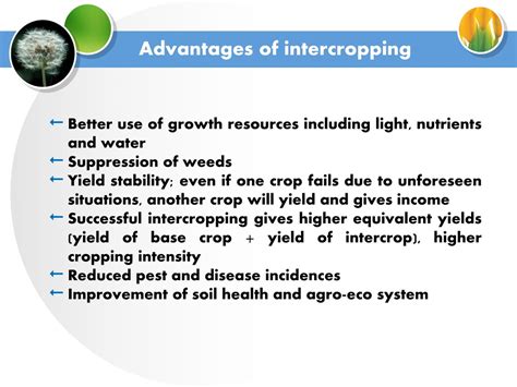 PPT - Cropping systems, Cropping patterns ABT-320 PowerPoint Presentation - ID:9183676