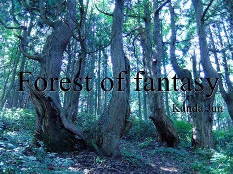 Forest of fantasy (Japanese Edition) eBook : KJun: Amazon.in: Kindle Store