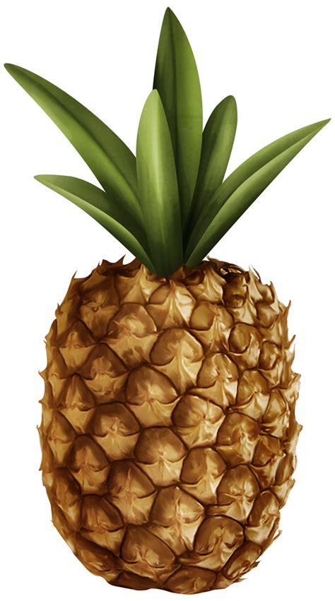 Tropical Pineapple Clip Art