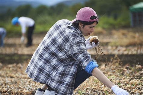 农地里干活的年轻人高清图片下载-正版图片502051075-摄图网