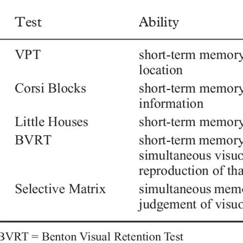 Image result for Visual Spatial Memory Tasks