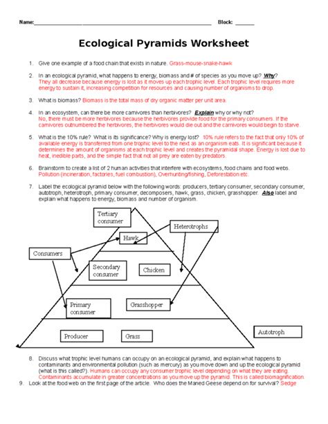 Image result for Ecological Pyramids Worksheet Answer Key