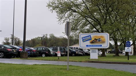 Need a job? Perdue Farms is hiring in Milford, Georgetown, Accomac