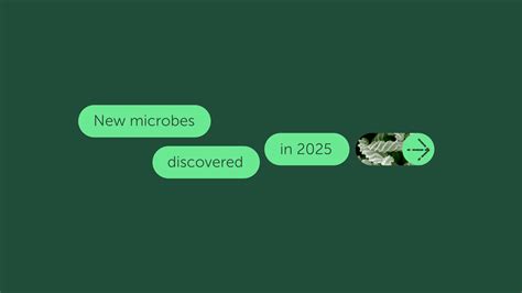 #FEMSmicroBlog: New viruses discovered in 2025 - FEMS
