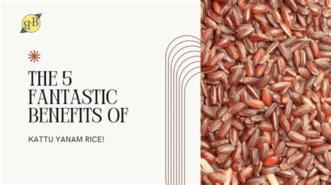 The 5 Fantastic Benefits Of Kaatuyanam Rice! - BNB Organics – B&B Organics
