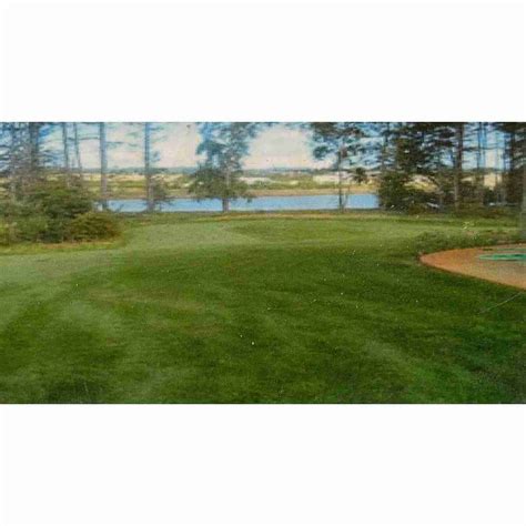 Ricks Garden Center | Bulk Rick’s Shady Lawn Grass Seed 1lb