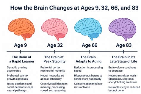 Brain Age