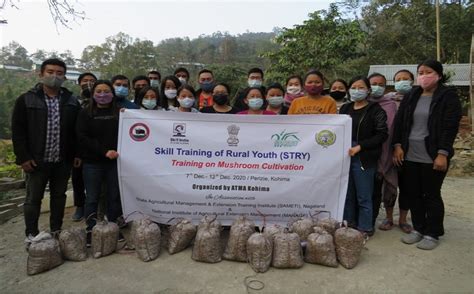 TRAINING ON OYSTER MUSHROOM CULTIVATION HELD AT KOHIMA | DIPR Nagaland ...