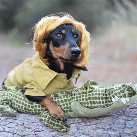 Dachshund Hot Dog Costume