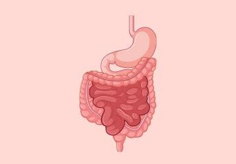 DISEASES & TREATMENTS