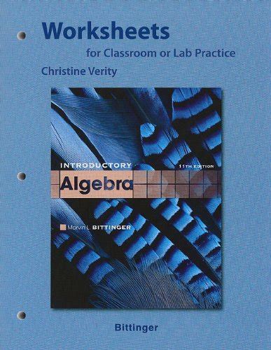 Buy Worksheets for Classroom or Lab Practice for Introductory Algebra ...