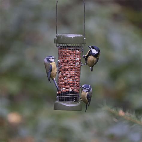 How to Attract Birds to Your Garden | Ivel Valley Wild Bird Food