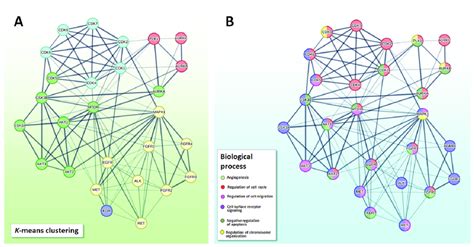 Image result for STRING Protein Interactions