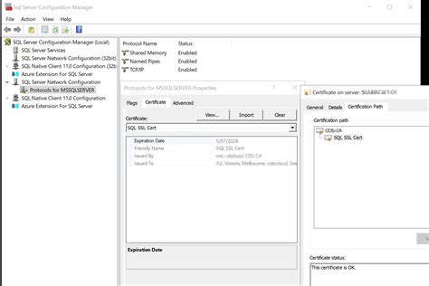 Image result for Trusted Connection SQL Server