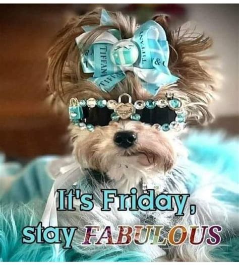 Funny Good Morning Quotes for Fabulous Fridays | Funny friday quotes ...