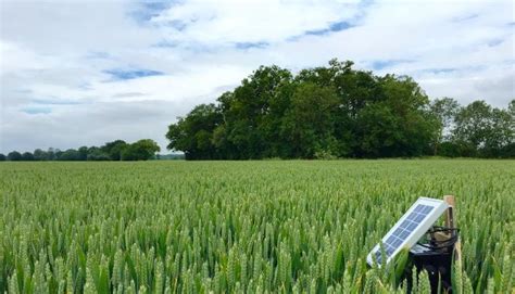 Internet of Things sensors for Smart Farming