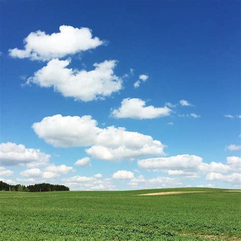 Spring Nature Scenery 的图像结果