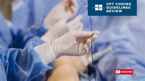CPT Coding Guidelines Review: Endovascular Revascularization of Lower ...