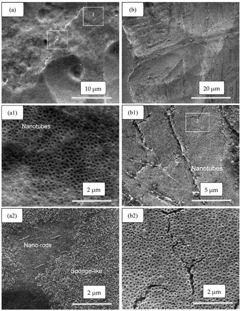 Image result for TiO2 Nanoparticles