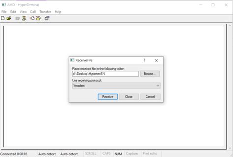 Terminal Expert Script 的图像结果