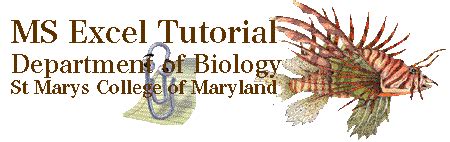 Graphing Absorbance Using Excel 的图像结果