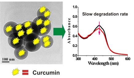 Nilmoni Sarkar Lab | Department of Chemistry, IIT Kharagpur