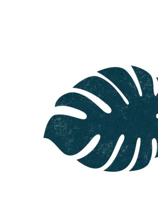 Coffee Sustainability Hub | Nescafé® IN