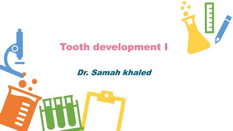 Tooth development 1 | PPTX