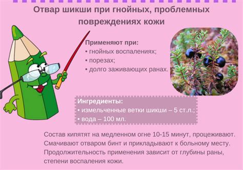 Шикша сибирская: описание, лечебные свойства, правила сбора и рецепты ...