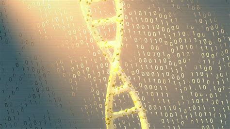 Image result for Genetic Algorithm Imges