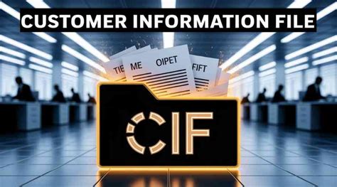 Customer Information File 的图像结果