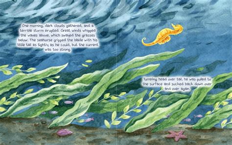 Example 的图像结果