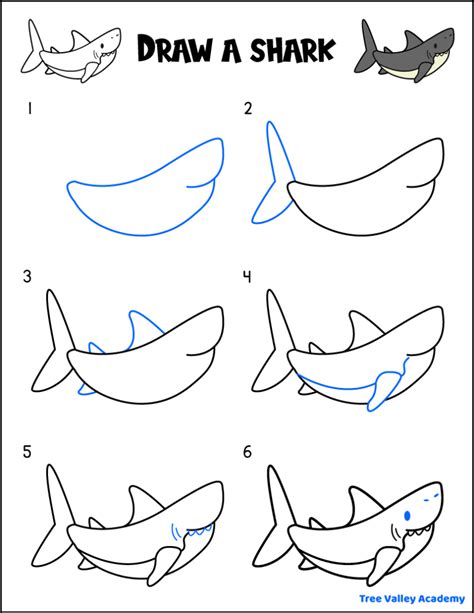How to Draw a Shark - Tree Valley Academy