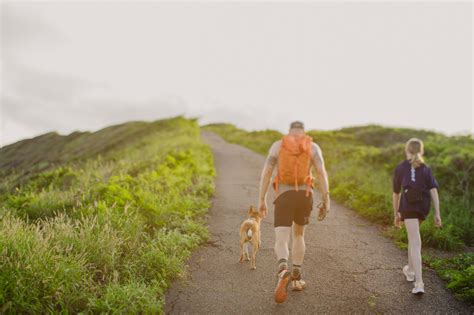 Hanauma Bay Ridge Trail and A Delightfully Sweaty Romp Above Paradise