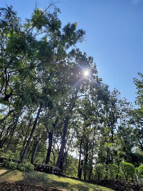 KARMA SITABANI (Jim Corbett National Park, Uttarakhand) - Cottage ...