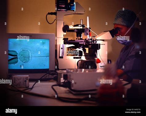 In vitro fertilization of a human egg harvested from the wife of the ...