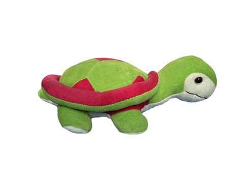 Buy GS Kidz Tortoise Stuffed Soft Plush Animal Toy for Kids 3 Years and ...