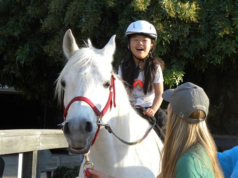 Jump into the Fun of a Hunter/Jumper Show at the Paso Robles Horse Park ...