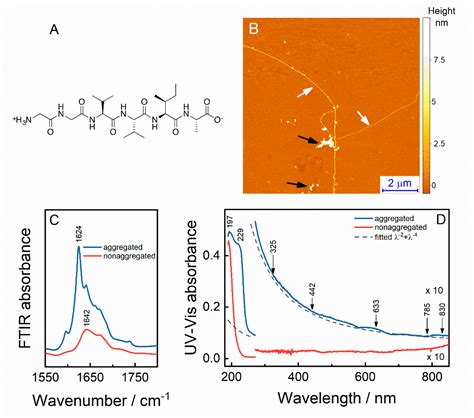 Far-Off Resonance: Multiwavelength Raman Spectroscopy Probing Amide ...