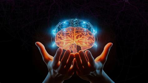 Rezultat imagine pentru Neuro-Linguistic Training Program