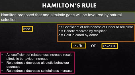 Image result for Hamilton Rule Examples