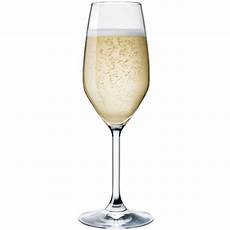 bicchieri prosecco horecapoint calici flute chagne e spumante bicchieri prosecco horecapoint calici flute chagne e spumante