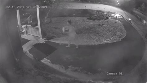 5 puppies die after being left outside animal shelter in below-freezing ...