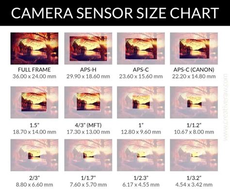 Image result for Camera Sensor Size Chart
