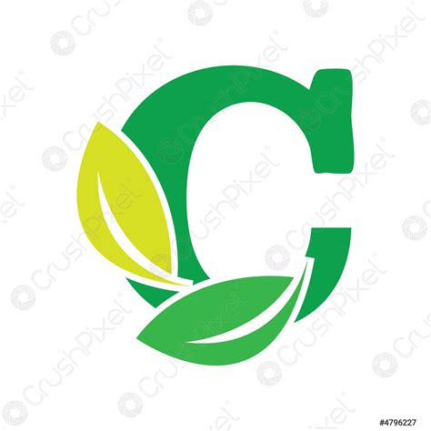 Green eco letters C logo with leaves symbol alphabet botanical - stock vector 4796227 | Crushpixel