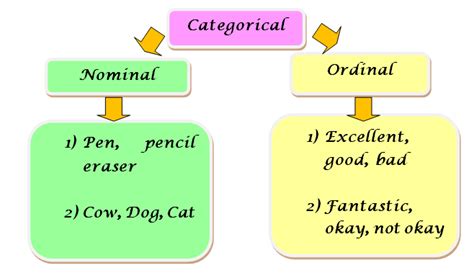 Image result for Machine Learning Algorithms Categorical